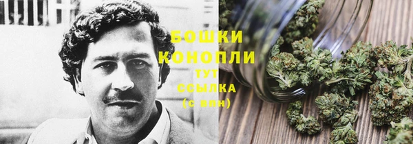 прущие крисы Бугульма