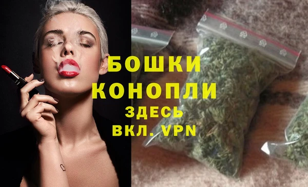 винт Бронницы