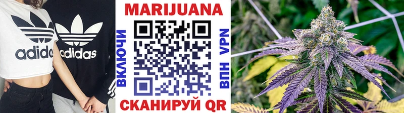 как найти закладки  Прокопьевск  Конопля индика 